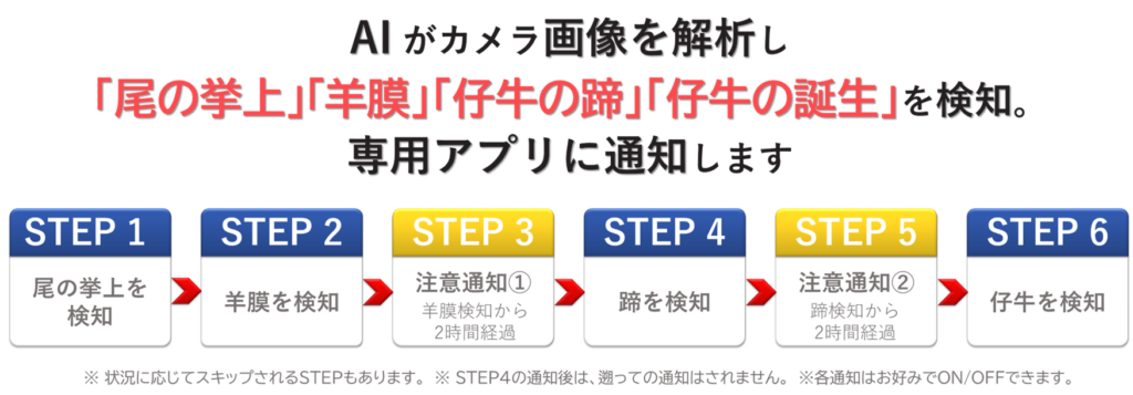 AIがカメラ画像を解析し、「尾の挙上」「羊膜」「仔牛の蹄」「仔牛の誕生」を検知。専用アプリに通知します。
　
STEP1尾の挙上を検知→　
STEP2羊膜を検知→　
STEP3注意通知①（羊膜検知から2時間経過）→　
STEP4蹄を検知→　
STEP5注意通知②（蹄検知から2時間経過）→　
STEP6仔牛を検知
　
※状況に応じてスキップされるSTEPもあります。　※STEP4の通知後は、遡っての通知はされません。　※各通知はお好みでON/OFFできます。